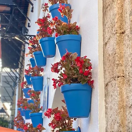 Residencia Jardin Del Rio